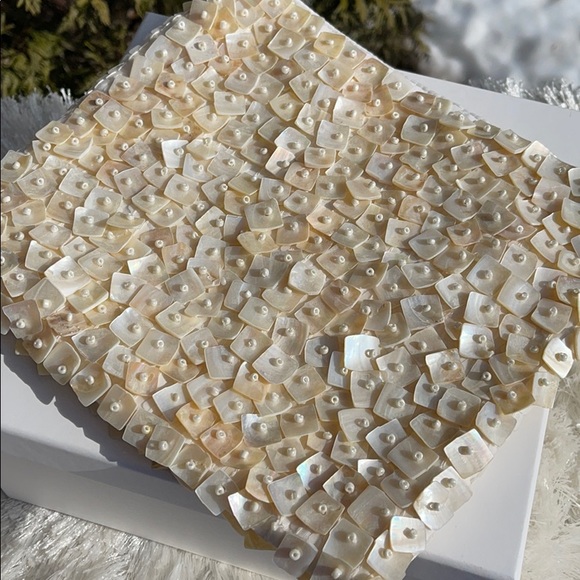 Zara Mother of Pearl Beaded Bag - Picture 3 of 9